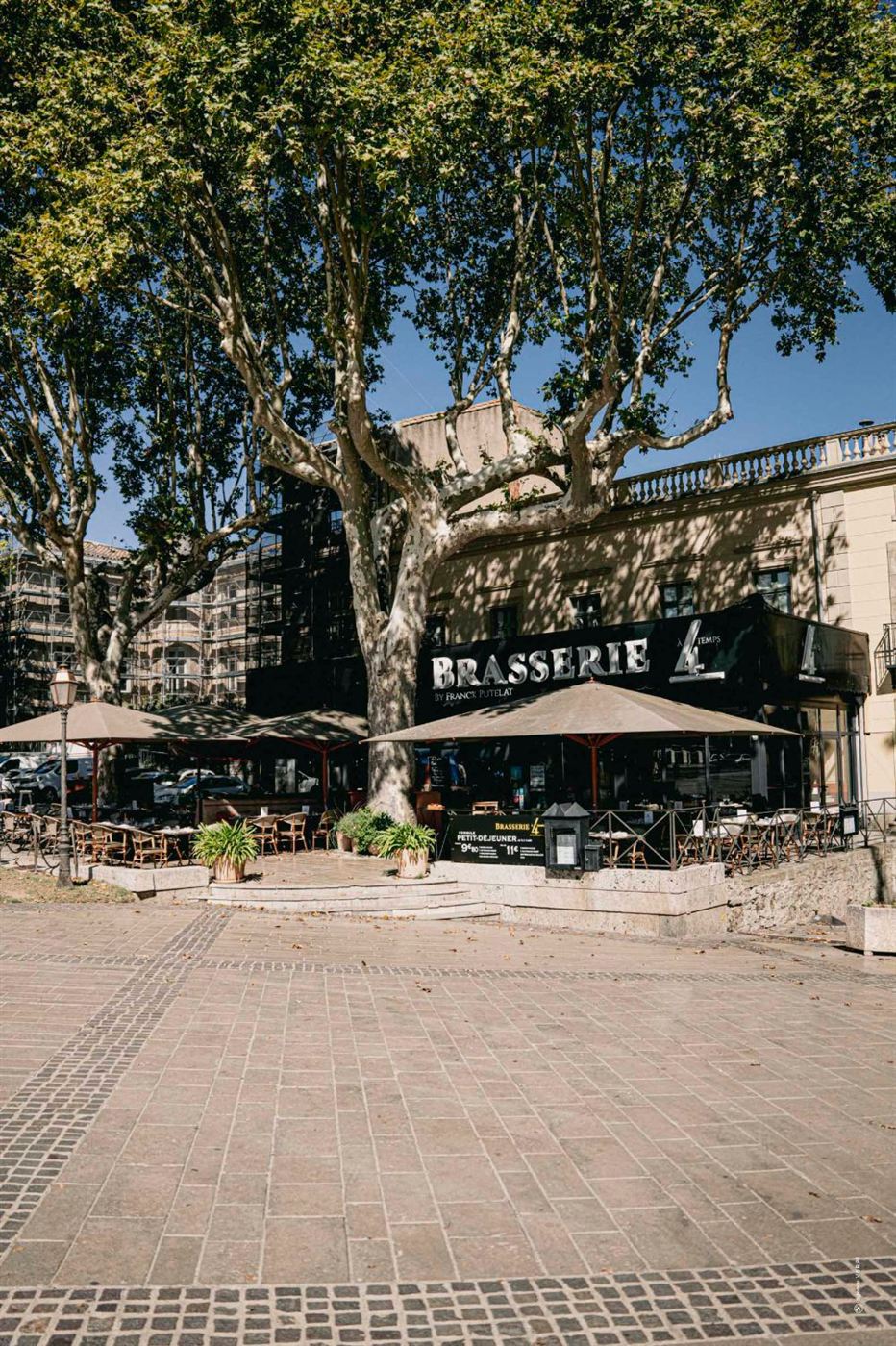 La terrasse à l'ombre des platanes